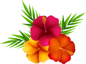 Exotic Flowers Png Clip Art Image - Tropical Flowers Transparent Background, Png Download PNG image with transparent background