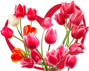 Vibrant_ Tulip_ Bouquet_ Heart_ Background PNG Image