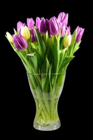 Vibrant_ Tulips_in_ Glass_ Vase PNG image with transparent background