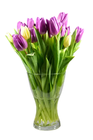 Vibrant_ Tulips_in_ Glass_ Vase PNG Image