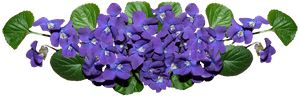 Violets, Flowers, Arrangement, Garden, Perfume - Artificial Flower, HD Png Download PNG with transparent background