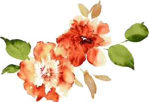 Vibrant Watercolor Floral Arrangement PNG Image