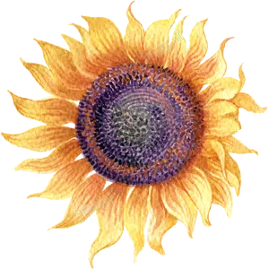 Vibrant Watercolor Sunflower Art PNG Image