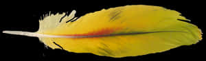 Macaw Feather Png Pic - Yellow Parrot Feather, Transparent Png PNG image with transparent background