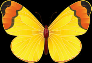 Vibrant Yellow Butterfly Illustration PNG image with transparent background