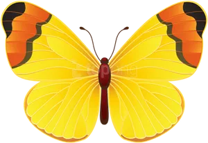 Vibrant Yellow Butterfly Illustration PNG Image