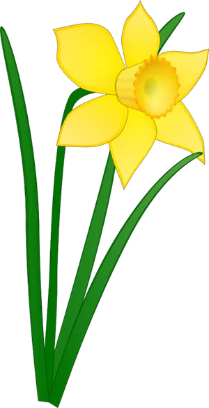 Vibrant Yellow Daffodil Vector PNG Image