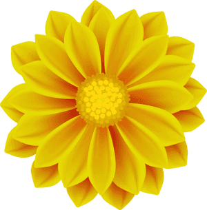 Flower Clipart Png Yellow, Transparent Png PNG