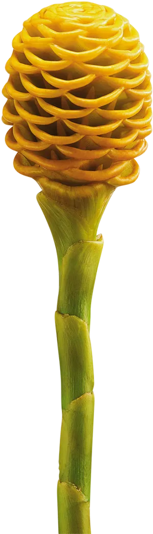 Vibrant Yellow Hawaiian Ginger Flower PNG Image