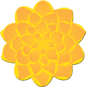 Mexican Flower Clipart , Png Download - Marigolds Clipart, Transparent Png PNG image with transparent background