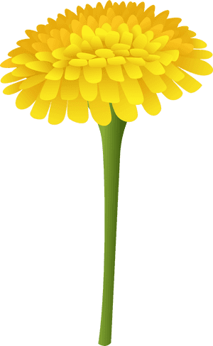 Transparent Wildflower Png - Dandelion Clipart Png, Png Download PNG image with transparent background