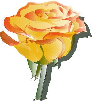 Yellow Flowers Tattoo Line Art, HD Png Download PNG image with transparent background