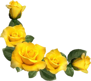 Vibrant Yellow Roses Black Background PNG Image