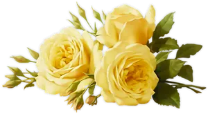 Vibrant Yellow Roses Bouquet PNG Image