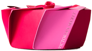 Victoria's Secret / Secret Embrace - Leather, HD Png Download PNG with transparent background