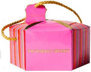 Victoria's Secret / Secret Embrace - Water Bottle, HD Png Download PNG with transparent background