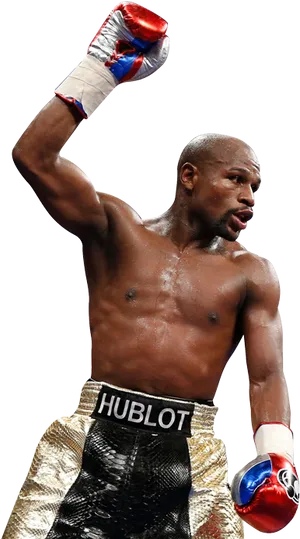 Victorious Boxer Raising Fist PNG Image