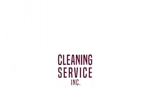 Viking Cleaning Service Logo PNG Image