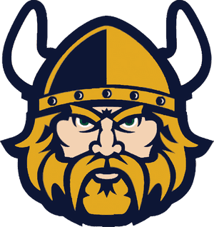 Viking Face Close Up - Cleveland State Vikings, HD Png Download PNG image with transparent background