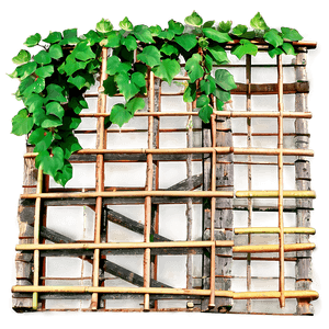 Vine Covered  Bamboo  Lattice PNG image with transparent background