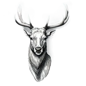 Vintage Antler Drawing Png Qip PNG Image