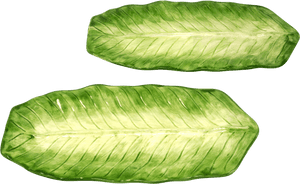 Vintage Banana Leaf Platters By Jay Willfred - Starfruit, HD Png Download PNG image with transparent background