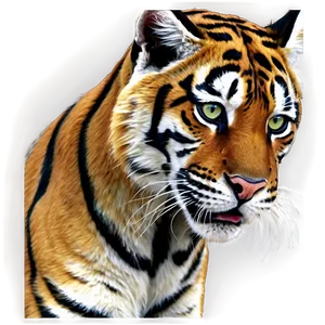 Vintage Bengals Logo Png Qnq13 PNG Image