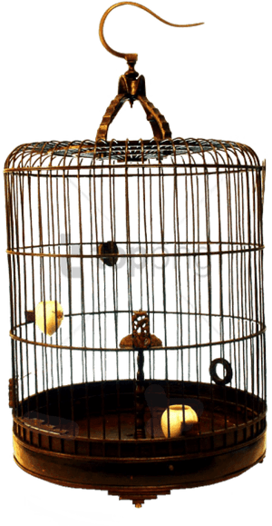 Cage,bird Supply,pet Supply,bird - Cage, HD Png Download PNG with transparent background