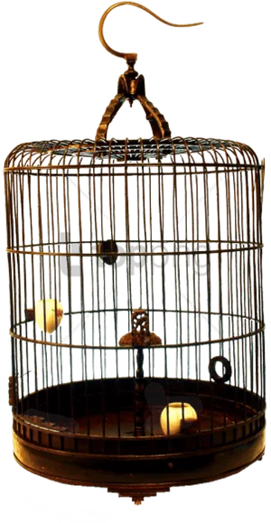 Vintage Bird Cage PNG Image