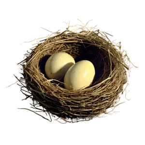 Vintage Bird Nest Png Kyq PNG Image