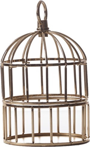 Cage Png Hd Wallpaper - Cage, Transparent Png PNG with transparent background