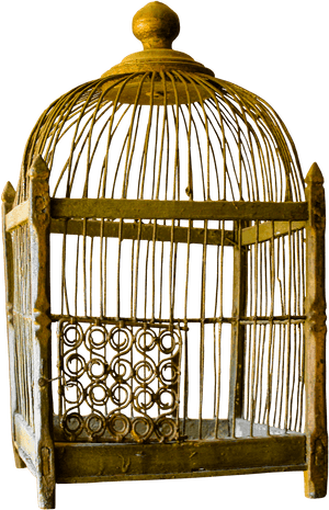 Bird Cage - Bird Cage And Cat, HD Png Download PNG with transparent background