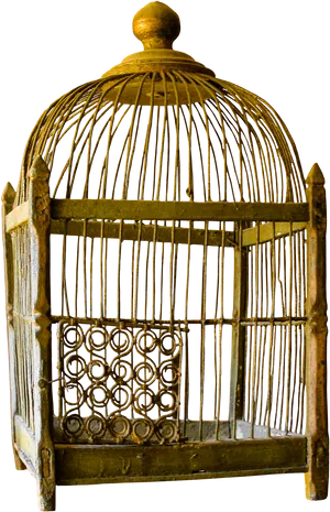 Vintage Birdcage Isolated PNG Image