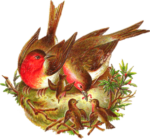 Free Bird Graphic - Bird In The Nest Png, Transparent Png PNG with transparent background
