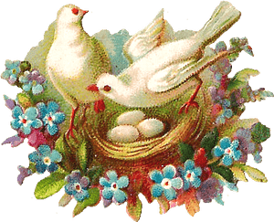 Antique Images Free Digital - Bird Nest, HD Png Download PNG