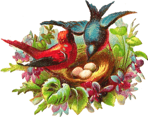 Bird Nest, HD Png Download PNG with transparent background
