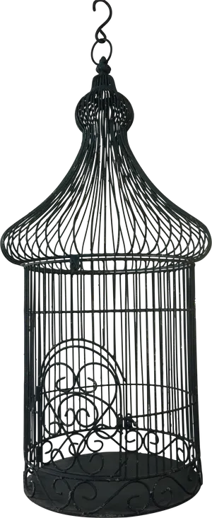 Vintage Black Birdcage PNG Image