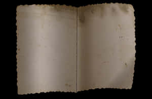 Vintage Blank Open Book PNG image with transparent background