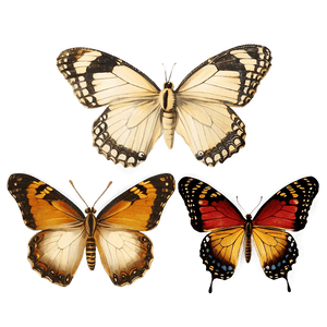 Vintage Butterflies PNG cdn PNG image with transparent background