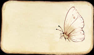 Vintage Butterfly Sketch PNG image with transparent background