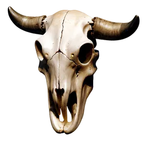 Vintage Cow Skull Drawing Png Qef52 PNG Image