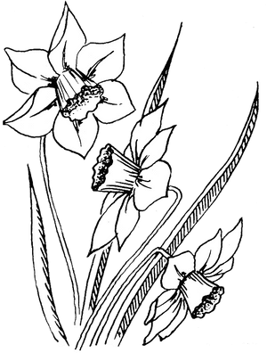 Line Art, HD Png Download PNG image with transparent background