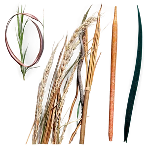 Vintage Dry Grass Png Dom23 PNG Image