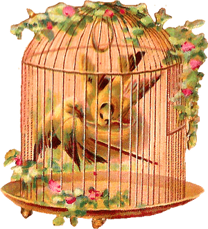 Bird Cage Birds Flowers, HD Png Download PNG with transparent background