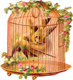 Vintage Floral Birdcage PNG Image