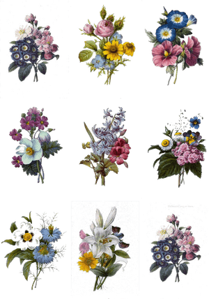 Colorful Flower Tattoo Designs, HD Png Download PNG with transparent background