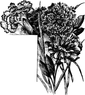Vintage Floral Etching Black White PNG with transparent background