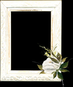 #mq #white #roses #frame #frames #border #borders - Jasmine, HD Png Download PNG