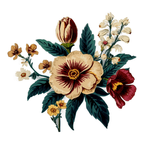 Vintage Floral Graphic PNG 76 PNG image with transparent background