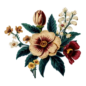 Vintage Floral Graphic Png 76 PNG Image